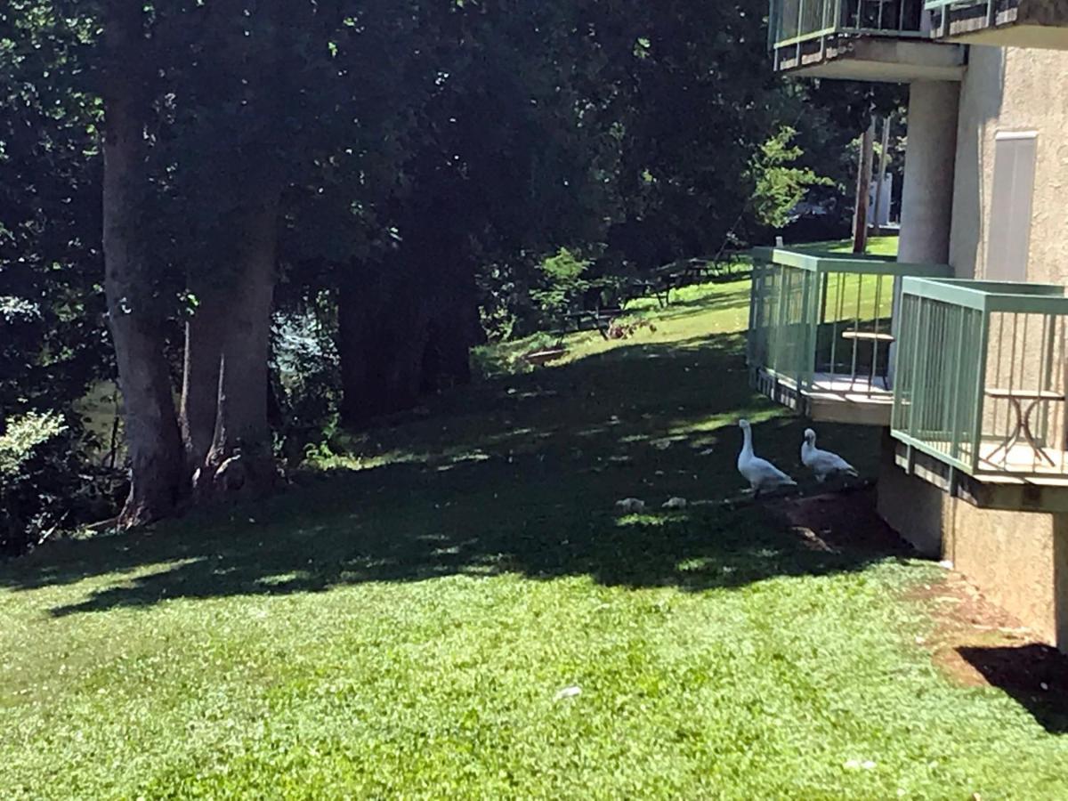 The River Cottage Pigeon Forge Exterior photo